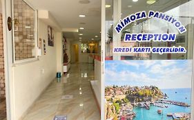 Mimoza Pansiyon